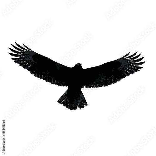 Solid black silhouette of a hawk soaring