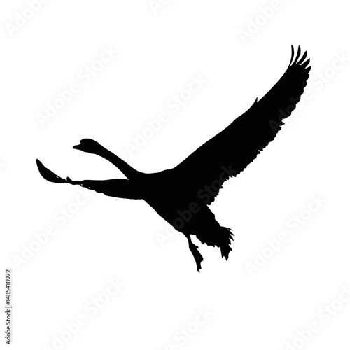 Solid black silhouette of a swan gliding