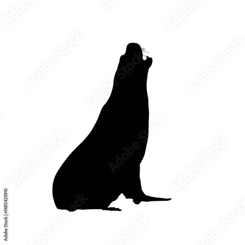 Solid black silhouette of a walrus barking