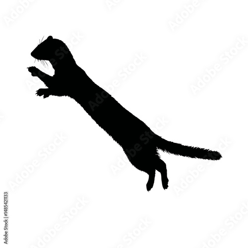 Solid black silhouette of a weasel chasing
