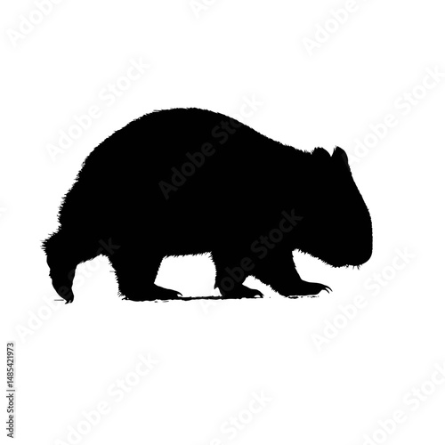 Solid black silhouette of a wombat walking