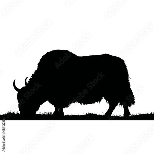 Solid black silhouette of a yak grazing