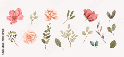 set of floral with pink peach watercolor