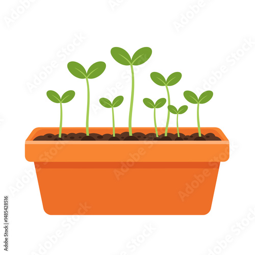 New Life Emerging:  A vibrant collection of small green seedlings emerges from the soil in a terracotta pot, signifying fresh growth and renewal. 