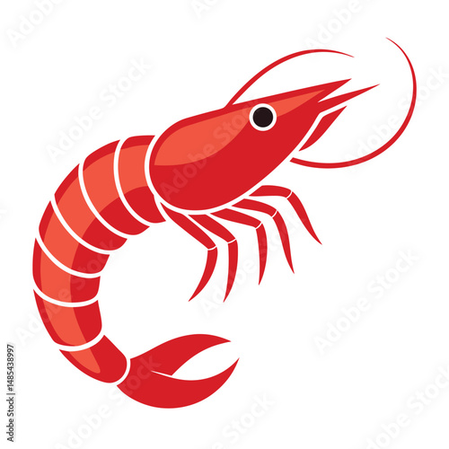 shrimp fish vector
