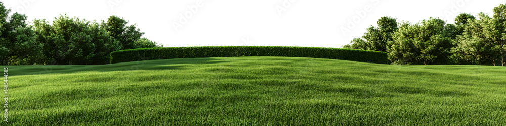Obraz premium Architectural and landscape concept. Green grass field isolated on transparent background. 3d rendering . PNG format