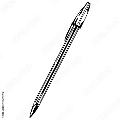 everyday ball pen drawing