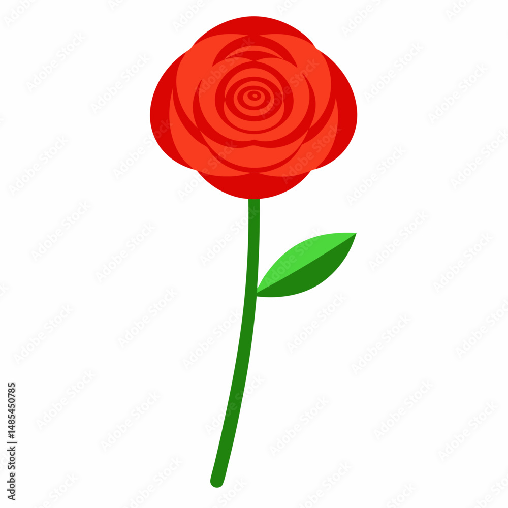 Obraz premium Beautiful Ranunculus flower stick with lush green leaves, illustrated in elegant vector art style—perfect for floral-themed digital designs and prints.