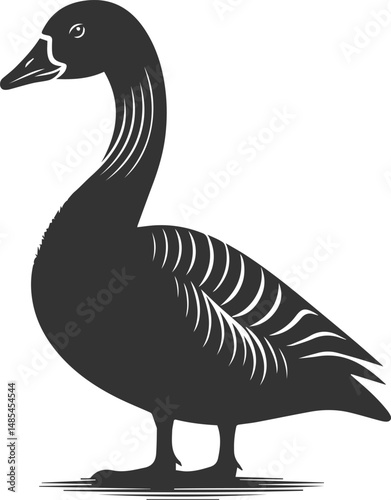 A drawing vector silhouette of a goose bird