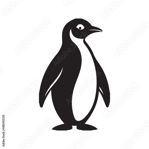 penguin on a white