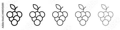 Grapes icon symbol pictogram. stroke designs.