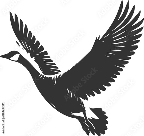 A drawing vector silhouette of a goose bird