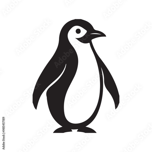 penguin on a white background