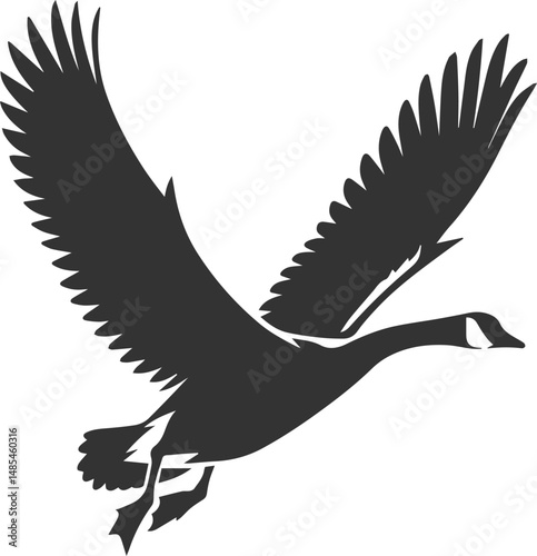 A drawing vector silhouette of a goose bird