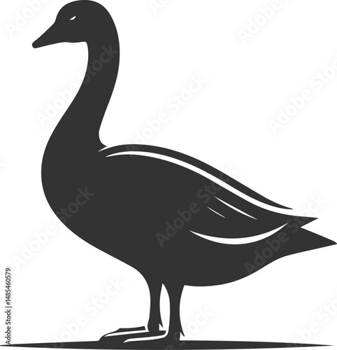 A drawing vector silhouette of a goose bird