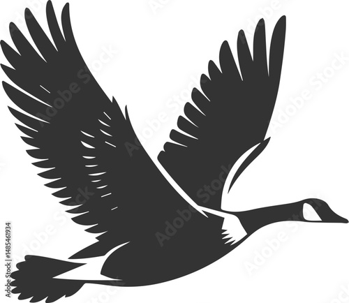 A drawing vector silhouette of a goose bird