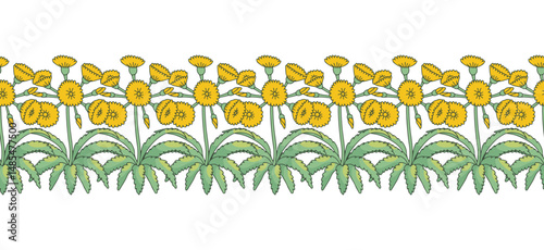 Stripe pattern with line art canary islands flowers Tree Sonchus. Floral horizontal seamless border with hand drawn millefleur style botanicals. Vector illustration
