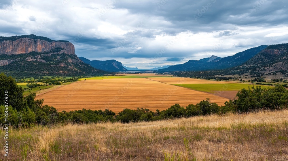 Fototapeta premium Expansive Rural Landscape with Mountains and Dramatic Cloudy Sky
