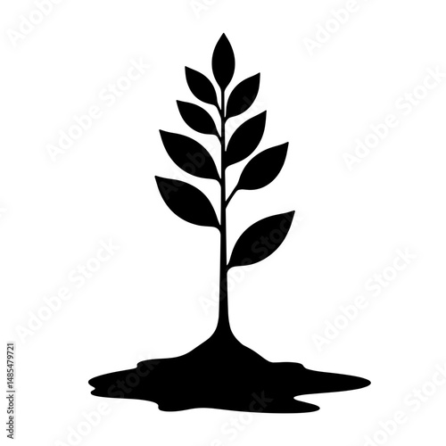 Silhouette of Sapling Growing, Nature-Based Regeneration and Biodiversity, Environmental Impact and Climate Growth Concept