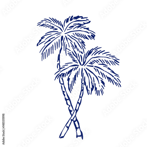 Hand drawn summer illustration set. Italian dolce vita. Minimalist line art. Palm tree, lemon, cocktails sun and sea, seashells in doodle sketch style. Drawing ink. Concept vacation ocean and travel