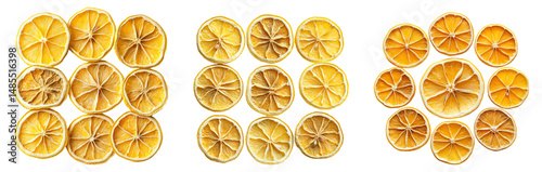 Dried Lemon Slices Arrangement Collection on Transparent Background