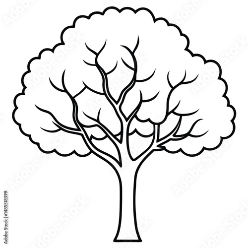 woodbine tree line art vector on white background 