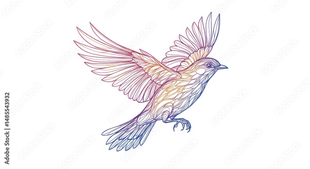 Obraz premium Abstract vector line art of a bird