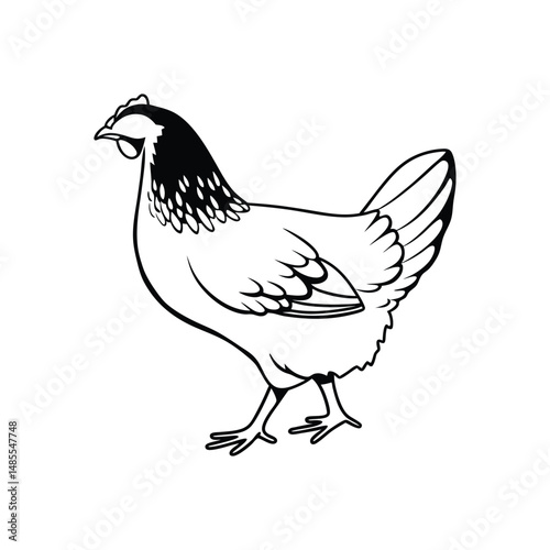 chicken line art silhouette