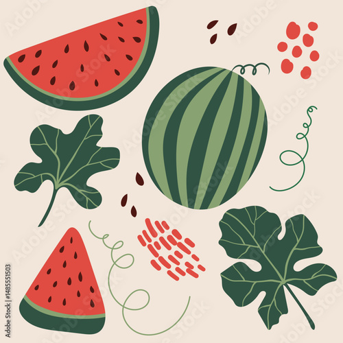 Watermelon with Leaves, Slice, seeds. Summer Fruit. Vector Illustrations