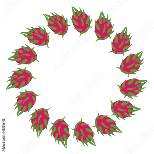 Pitaya Wreath, Pitahaya , Exotic Dragon Fruit Round Wreath Frame, Illustration Isolated