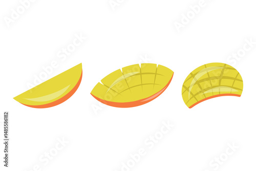 Mango fruit slices vector set. Mango logo, icon, design