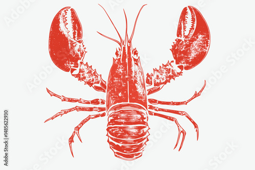 Vintage Lobster Illustration