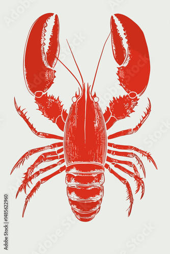 Vintage Lobster Illustration