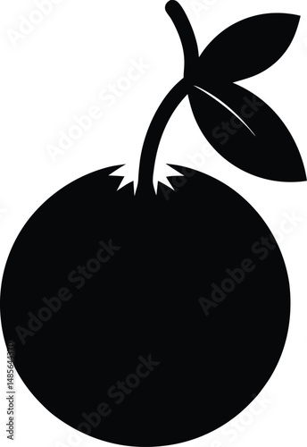 hackberry fruit black silhouette on white backgr