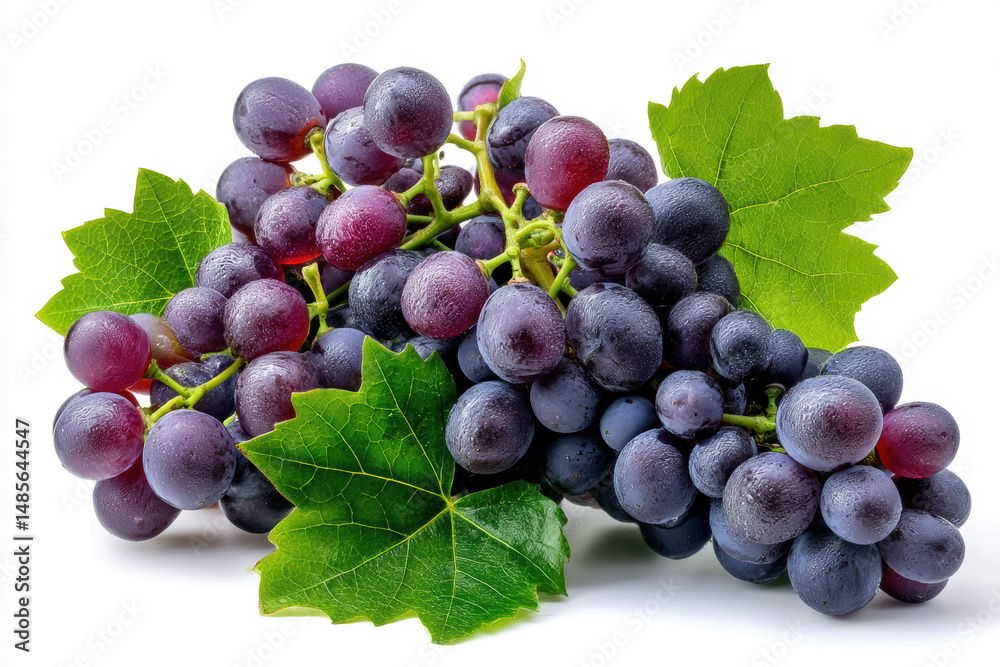 Fototapeta premium Grapes on vine with green leaves arranged artfully in natural light showcasing freshness and quality