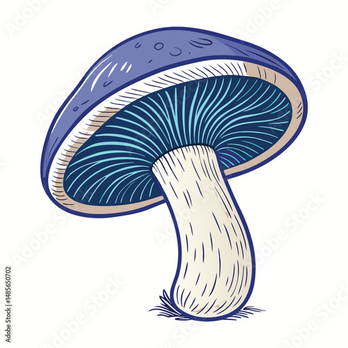 Close-up photograph of a single indigo milk cap mushroom showcasing its vibrant indigo cap and distinctly purple-blue gills.  High-resolution detail.