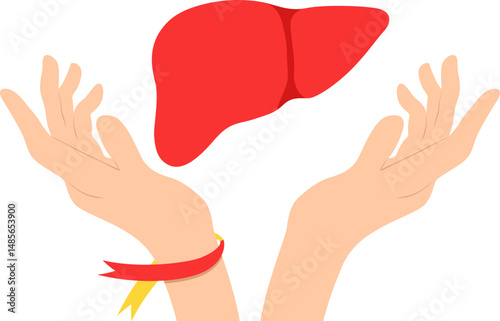 World hepatitis day illustration. Liver, hepar, globe ribbon for hepatitis disease awarness. Vector isolated.