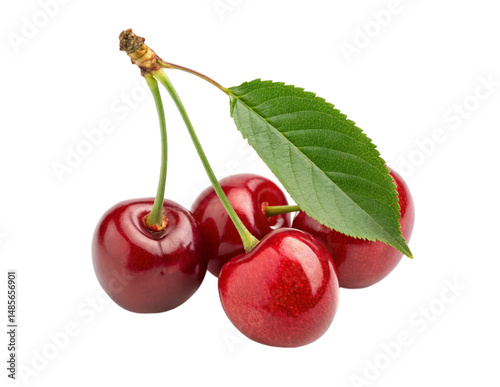 Wallpaper Mural Fresh Red Cherries Isolated PNG or JPEG Background Torontodigital.ca