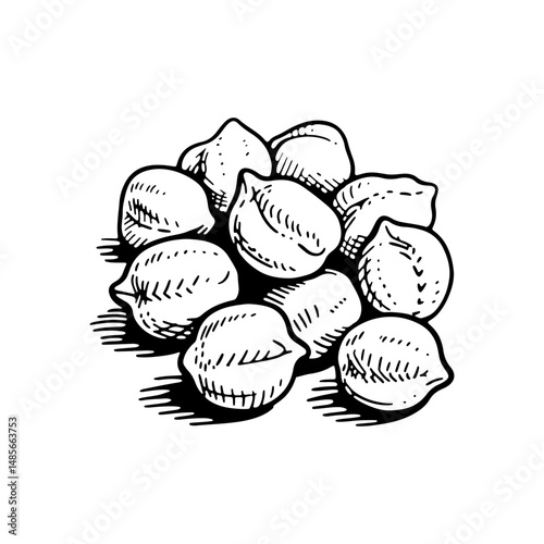 Pile of chickpeas in a detailed hand-drawn style.