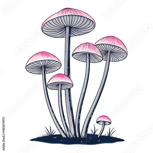 Generate a highly detailed image of a cluster of Mycena mushrooms, showcasing their slender, delicate stalks and small caps, thriving in a damp, woodland setting.