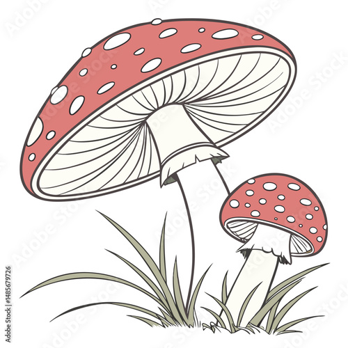 Red fly agaric mushroom cartoon vector illustration nature forest toadstool