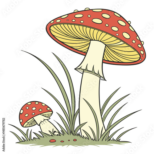 Red poisonous fly agaric mushroom illustration on green forest grass