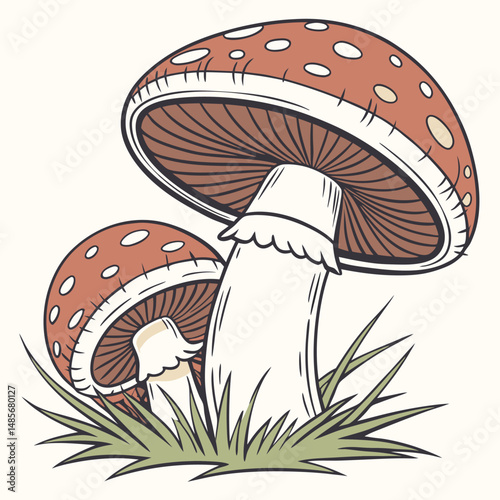 Vector illustration of red and brown mushrooms fungus with white spots in green grass