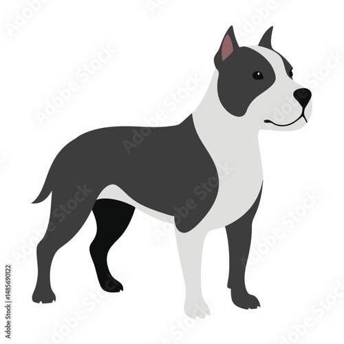 Staffordshire Bull Terrier vector artwork showcasing the strong, loyal dog in clean, bold lines—perfect for logos, prints, and pet-themed designs.