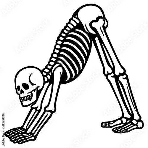 Skeleton in downward dog yoga pose. Fun black and white vector illustration blending anatomy, yoga, and Halloween spirit.