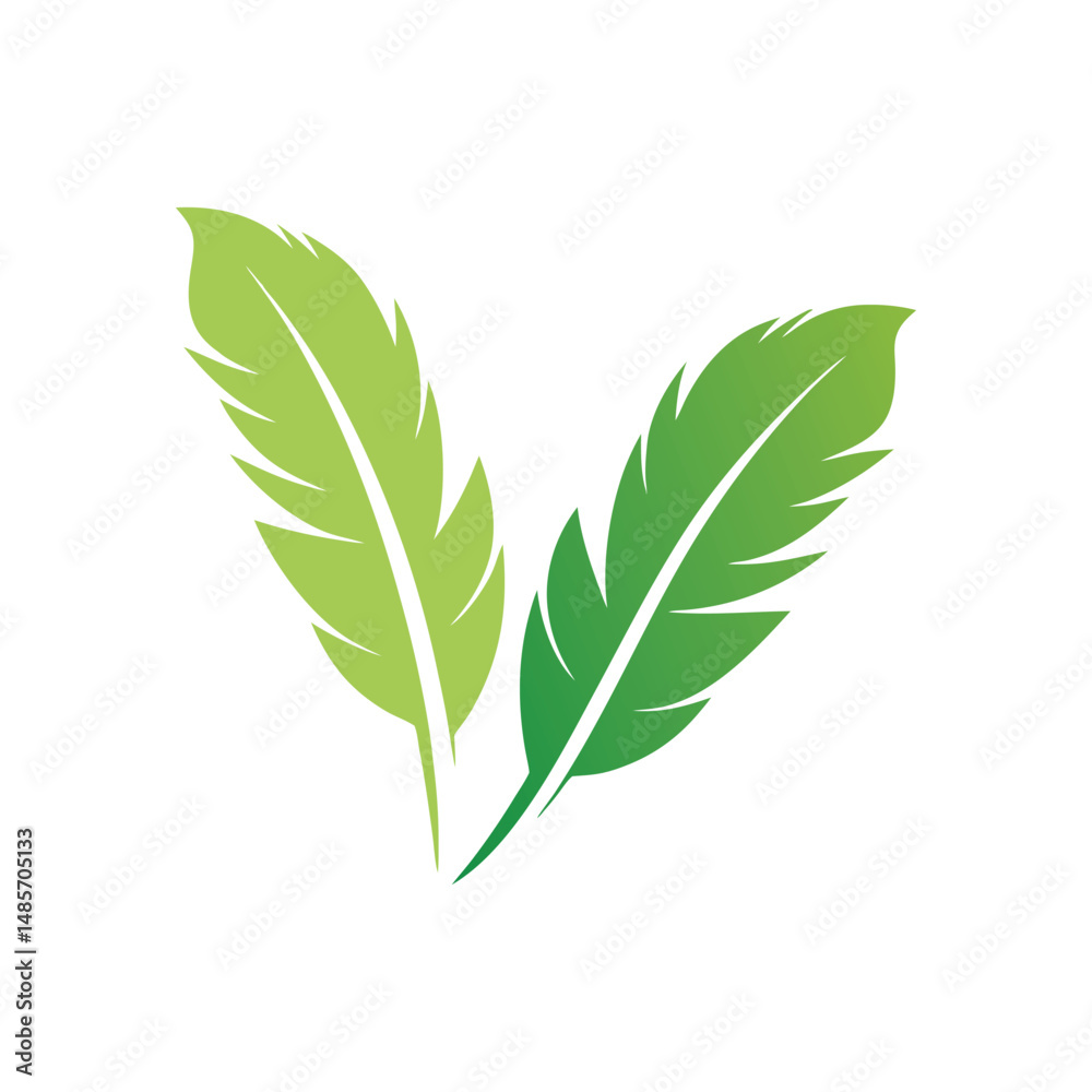 Fototapeta premium Two Green Feathers A Minimalist and Clean Design