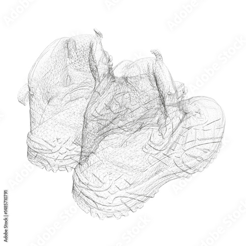 A pair of shoes wireframe. The shoes are black and white. 3D