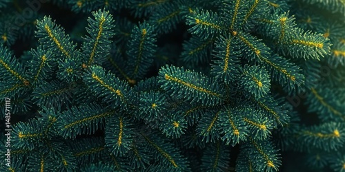 Close-up view of lush evergreen tree branches with dense, dark green needles and fresh yellow new growth tips, evoking a sense of natural freshness and vitality