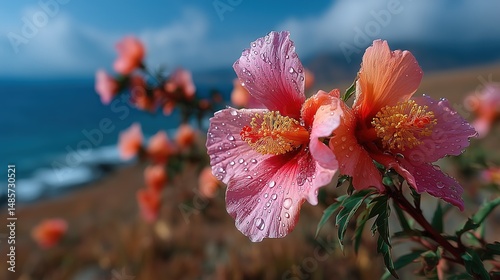 Coastal Pink Hibiscus Duo with Water Droplets & Wave Background for Inn/Branding/Tourism Posters, Natural Lighting Design
 photo