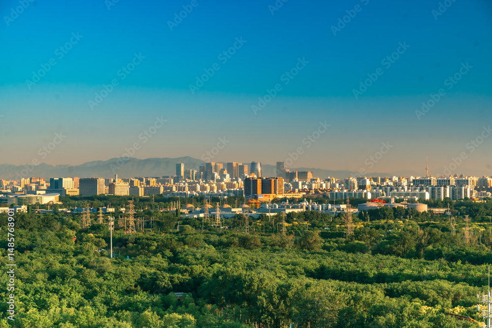 Fototapeta premium A large forest in Beijing's Nanyuan District and modern urban buildings in the distance